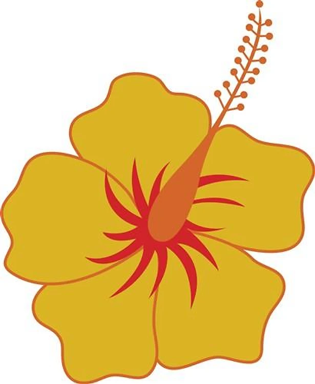 Hibiscus Flower
