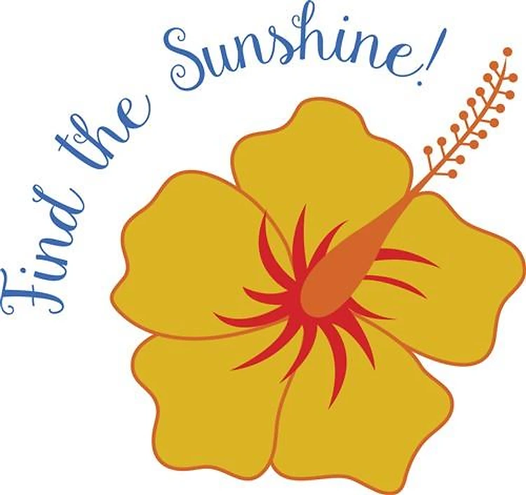 Find The Sunshine