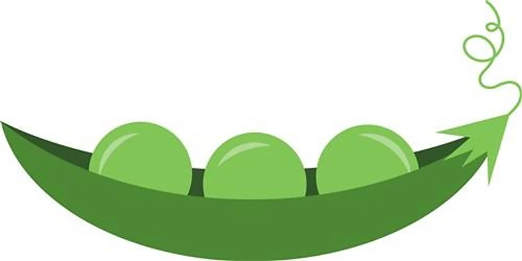 Peas In Pod