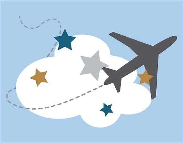 Airplane In Clouds