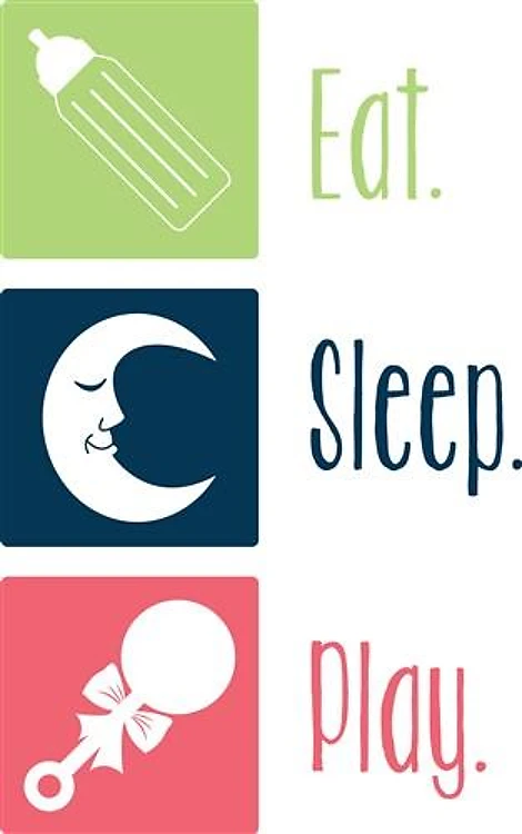 Eat Sleep Play