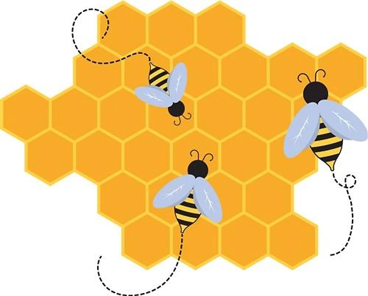Bee Hive
