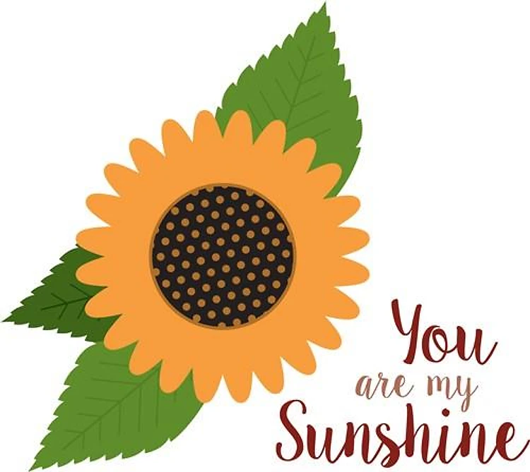 You Are My Sunshine