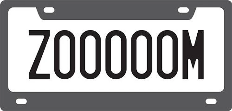 Zoom License Plate