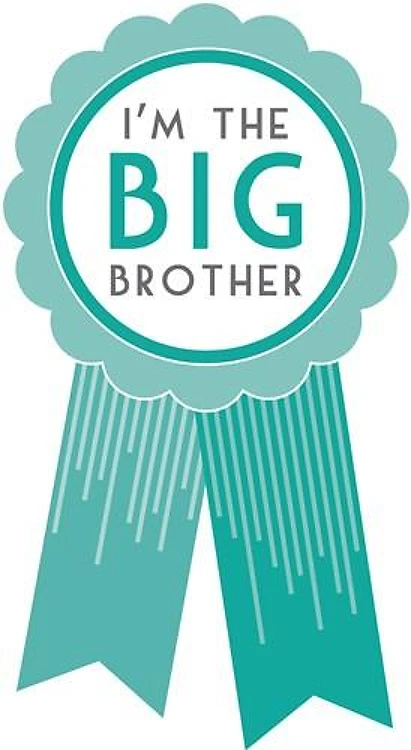 Big Brother
