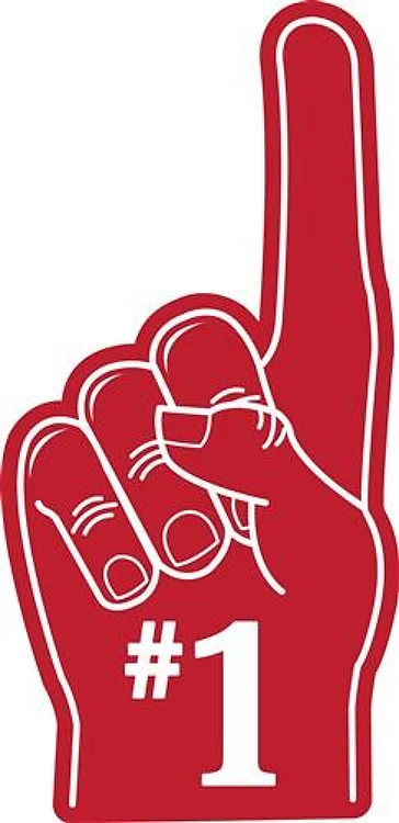 1 Foam Finger