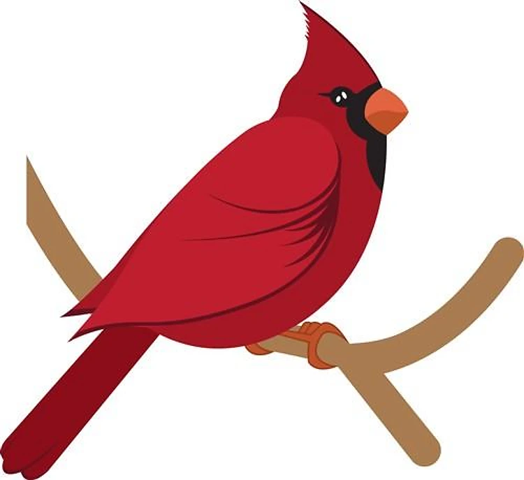 Cardinal