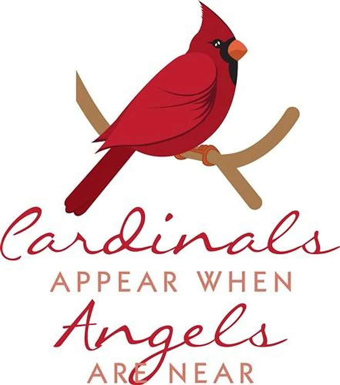 Cardinals Appear