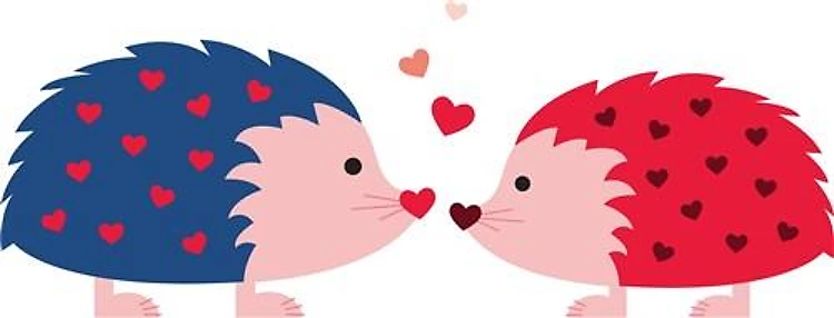 Hedgehog Love