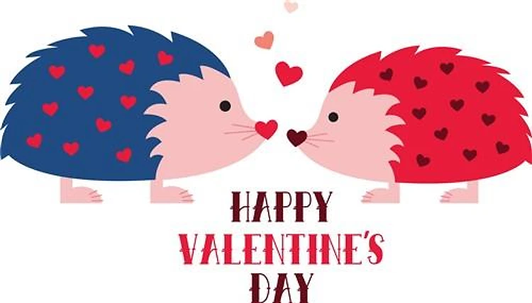 Happy Valentines Day