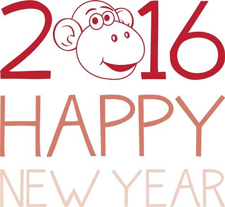 2016 New Year
