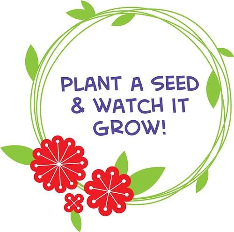 Plant A Seed