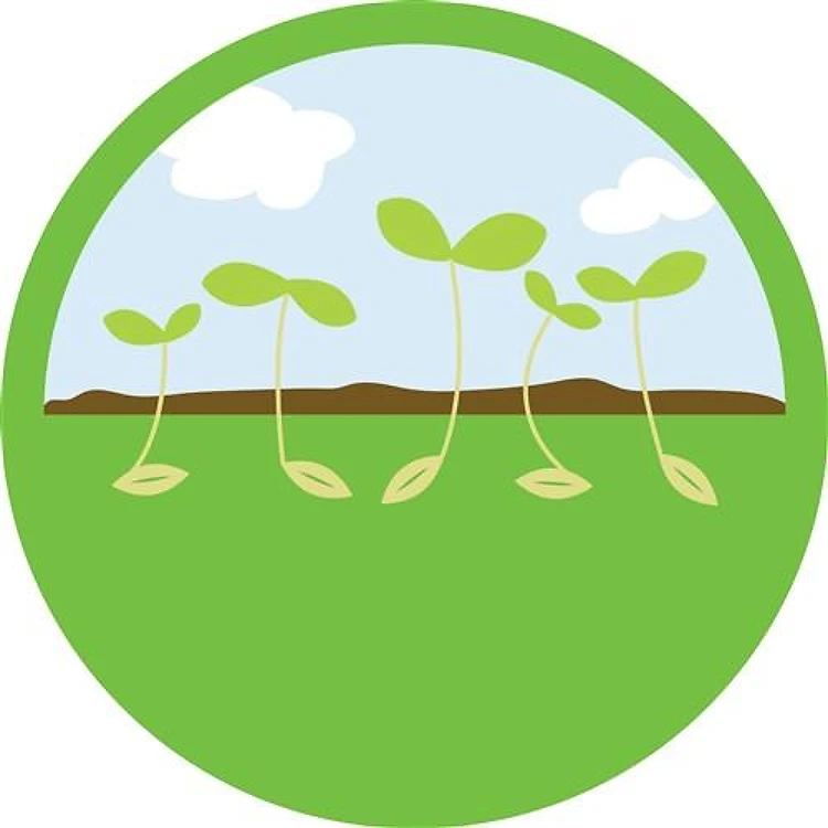 Seedlings
