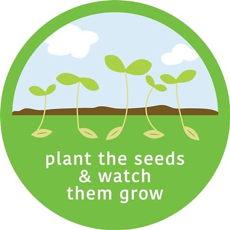 Plant The Seeds