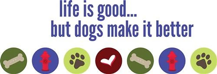 Dogs Are Better