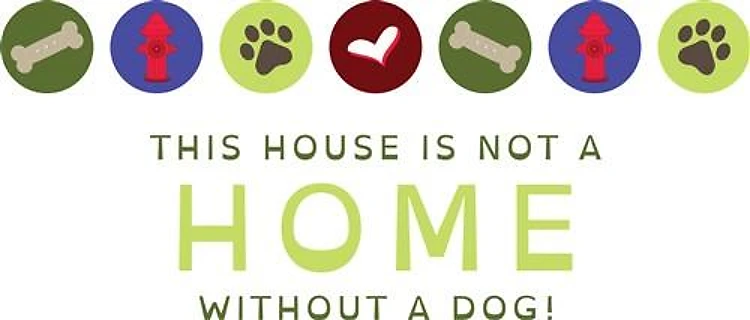 Home Without Dog