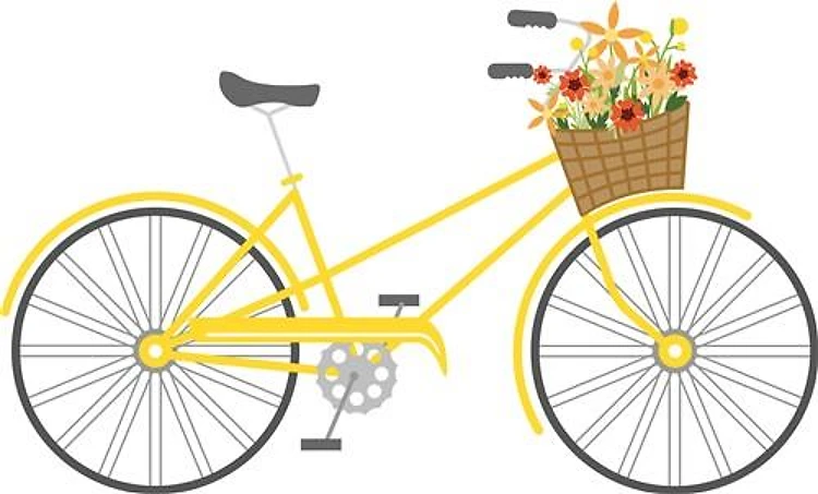 Bicycle Flowers