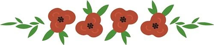 Poppy Border