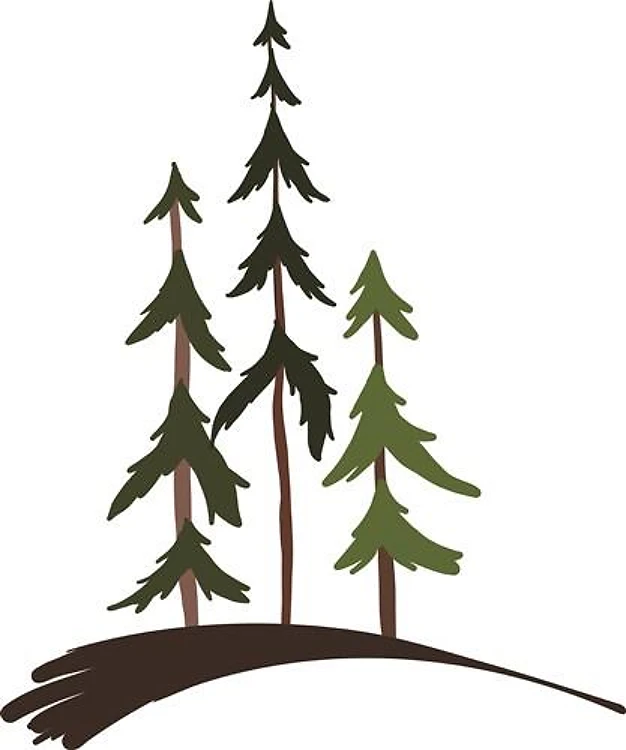Forest Trees