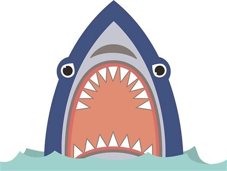 Shark Face