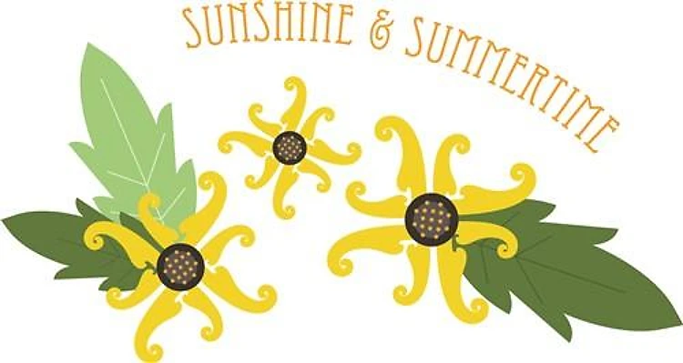 Sunshine Summertime