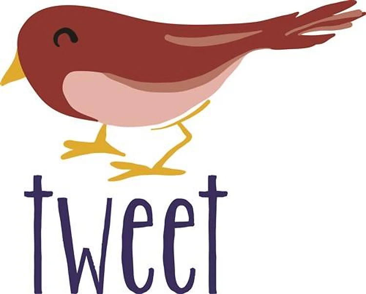Bird Tweet