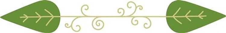 Curl Leaf Border