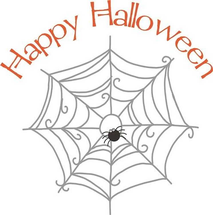 Curly Spider Web