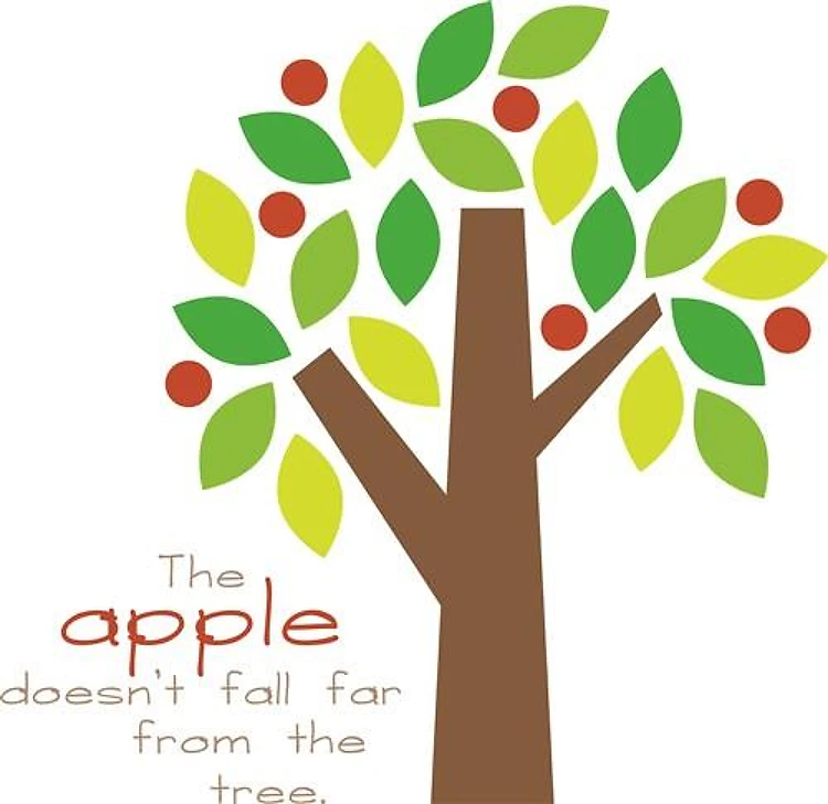Apple Tree