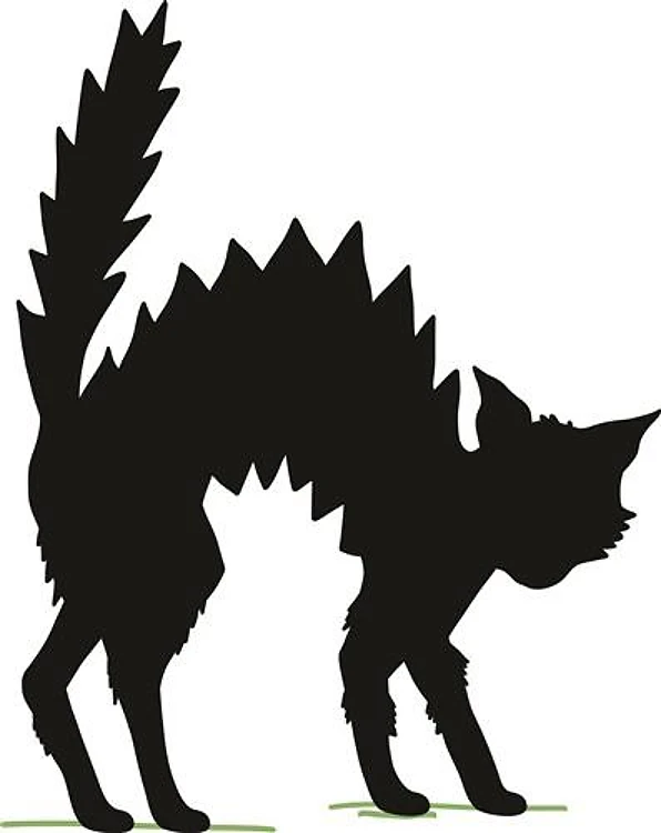 Halloween Black Cat Silhouette