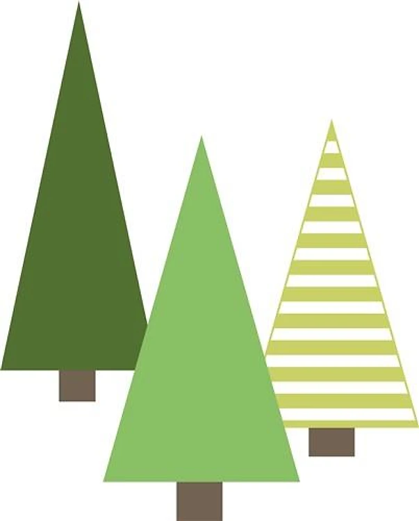 Evergreen Trees