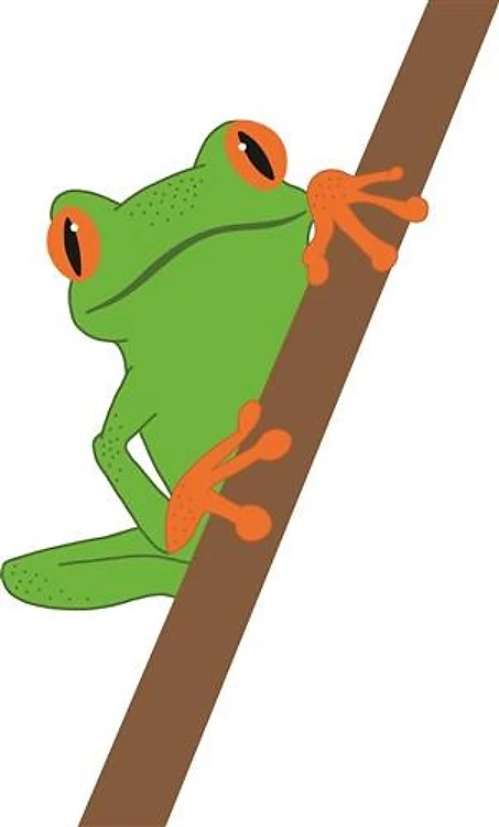 Tree Frog