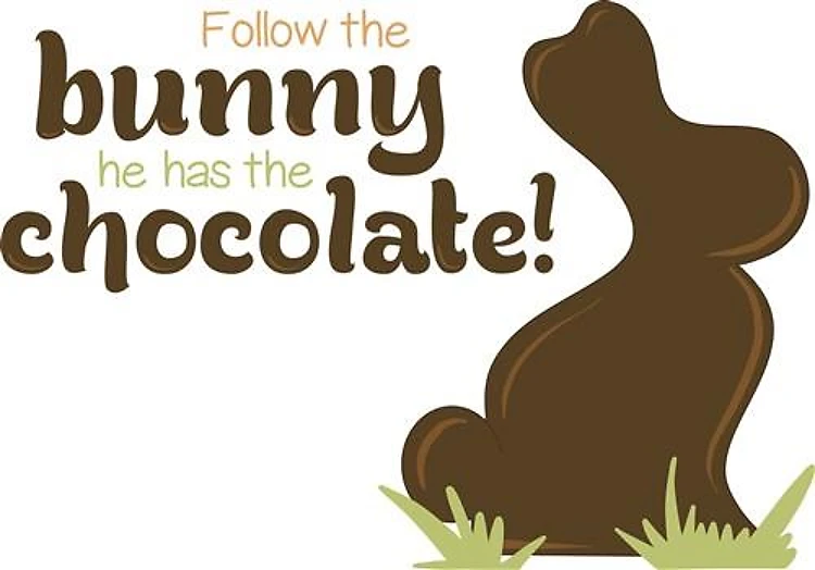Follow The Bunny