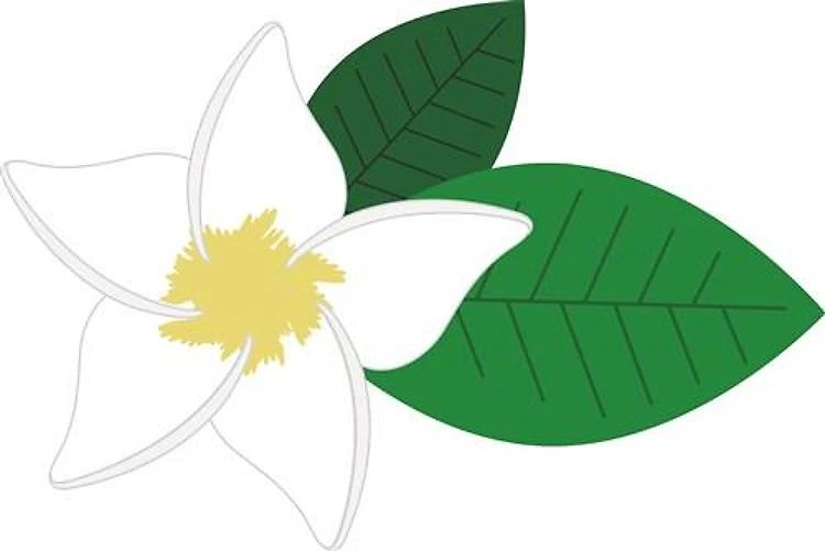 Tropical Flower