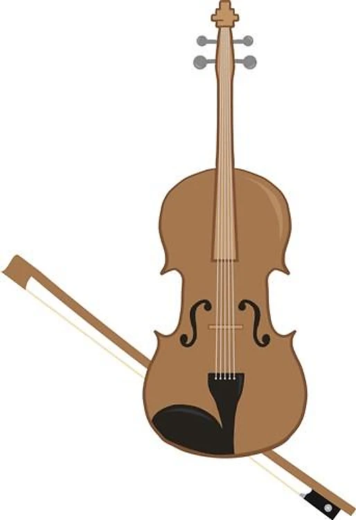 Violin