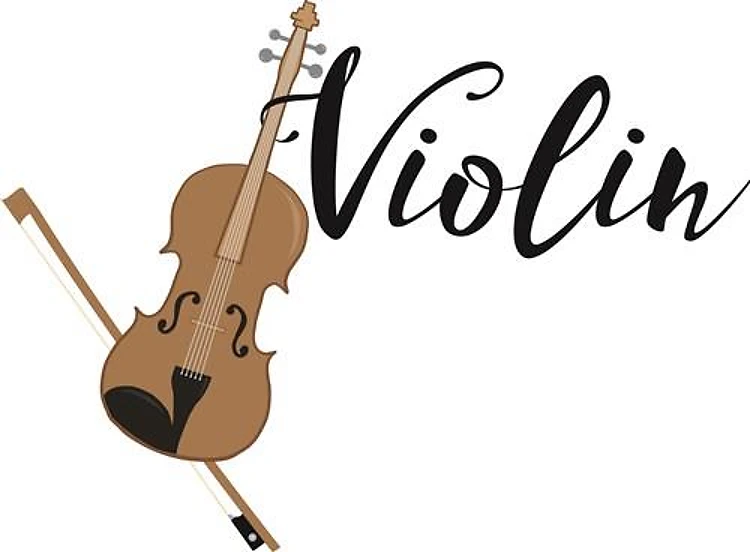 Violin