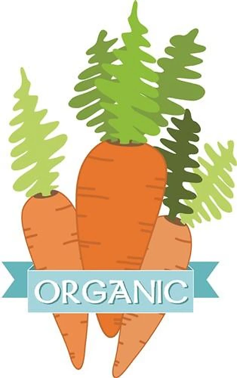 Organic Carrots