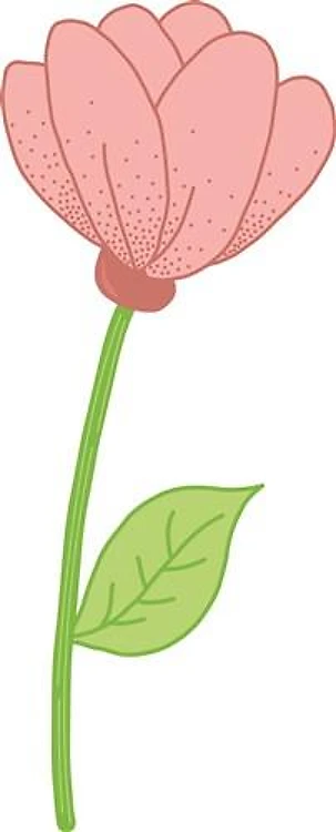 Pink Flower