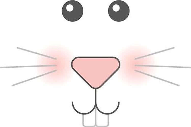 Bunny Face