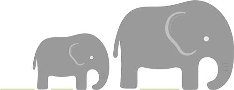 Mom and Baby Elephant