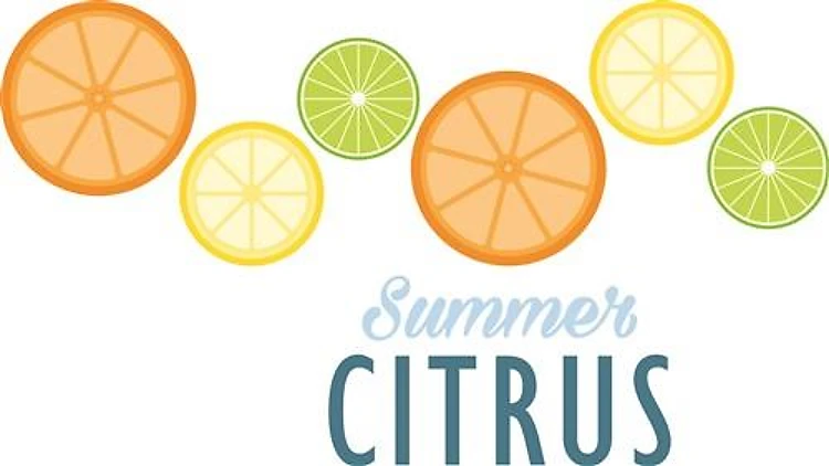 Summer Citrus