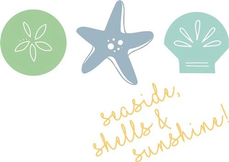 Seashore Shells