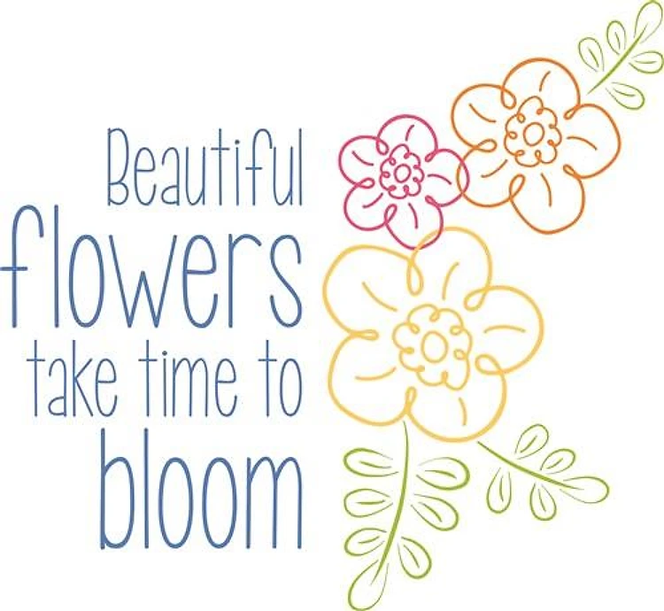 Beautiful Flowers