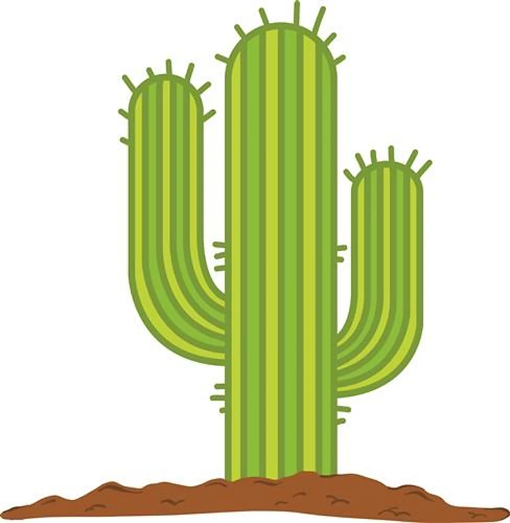 Southwest Cactus