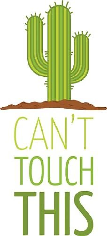 Cant Touch This