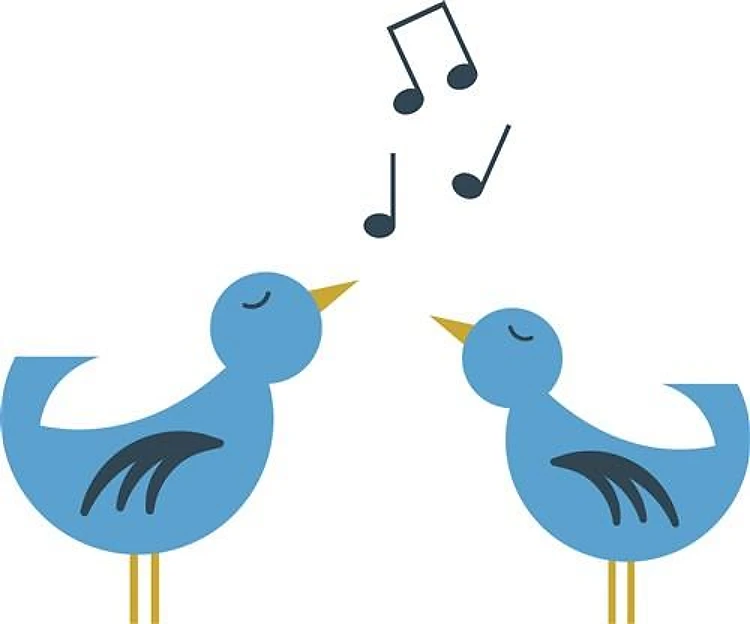 Singing Blue Birds