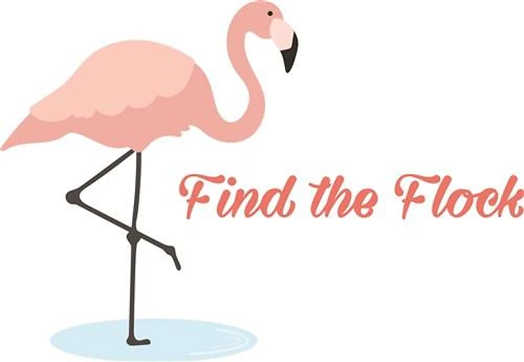 Find The Flock