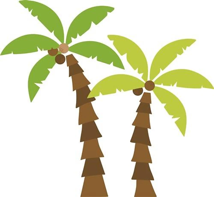 Coconut Trees
