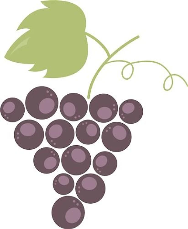 Bunch of Grapes