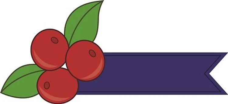Berries Banner